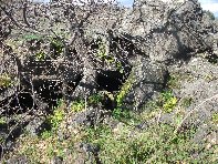 otte Scorciavacca20110306 075